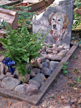 pomnik
