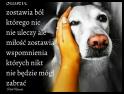 zdjecie Betus